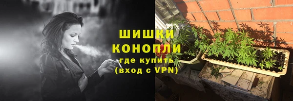 прущие грибы Верхнеуральск