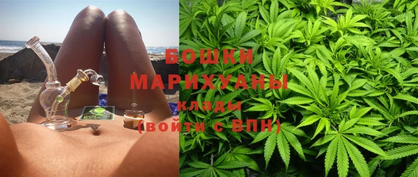 прущие грибы Верхнеуральск