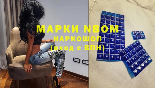 прущие грибы Верхнеуральск