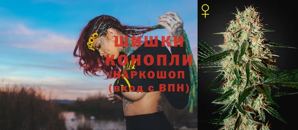 прущие грибы Верхнеуральск