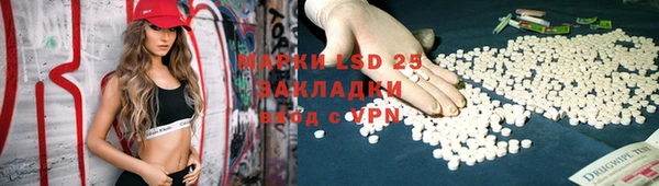прущие грибы Верхнеуральск